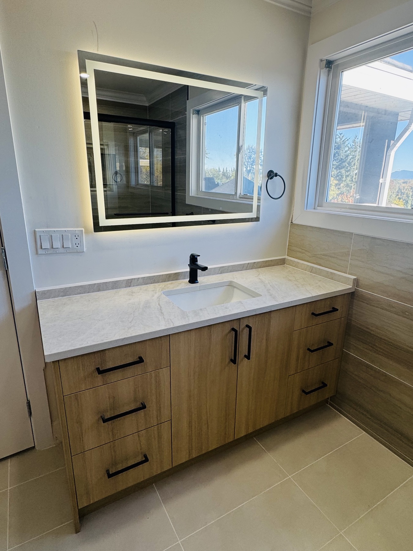 Washroom vanity with stone counter and timber cabinetry